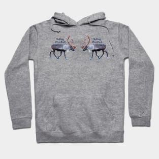 Nollaig Chridheil Hoodie